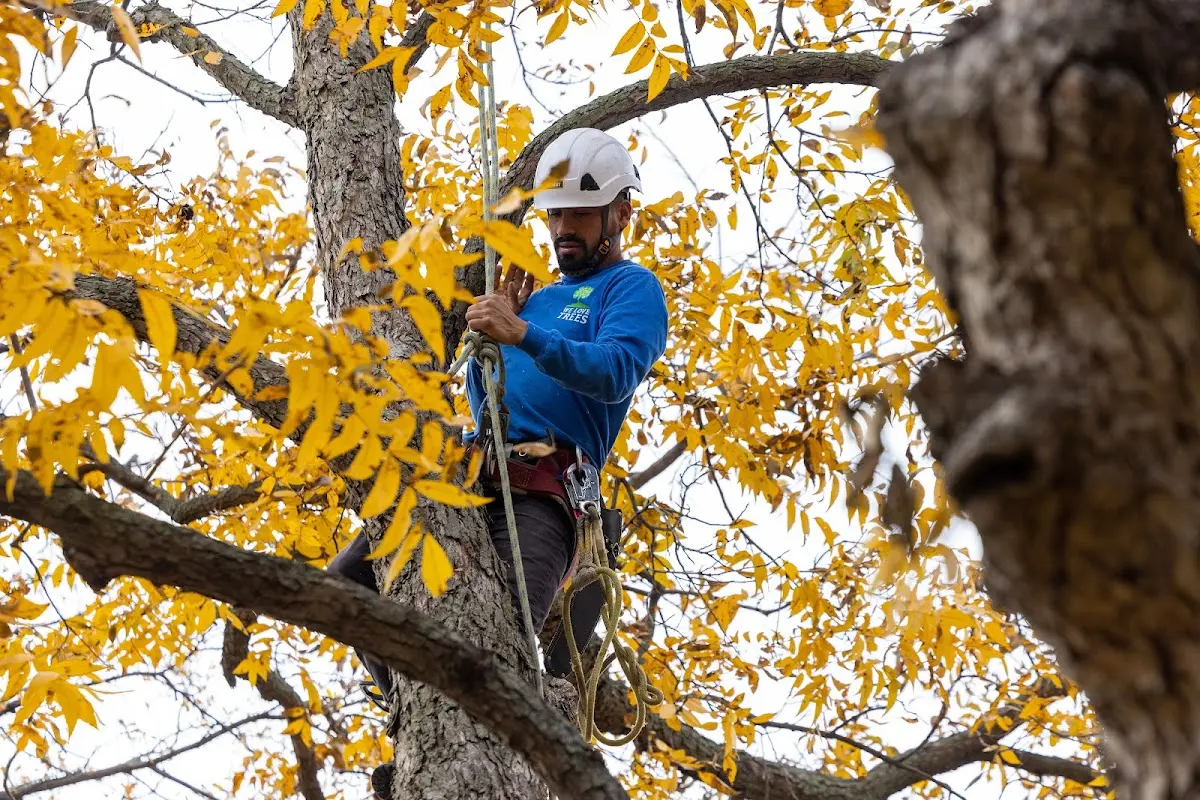 Skilled Storm Damage Cleanup crew working in Newcomb