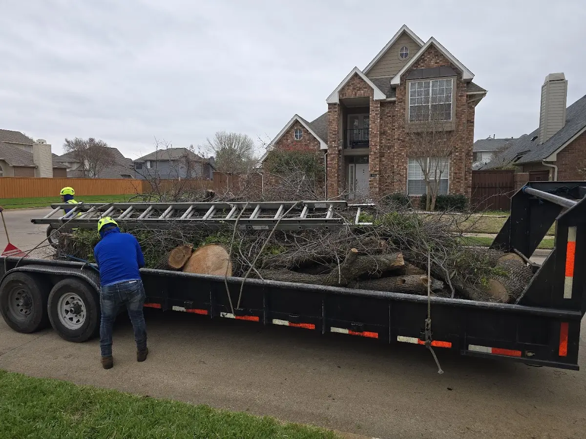 Expert Lot Clearing with proper safety equipment in Newcomb